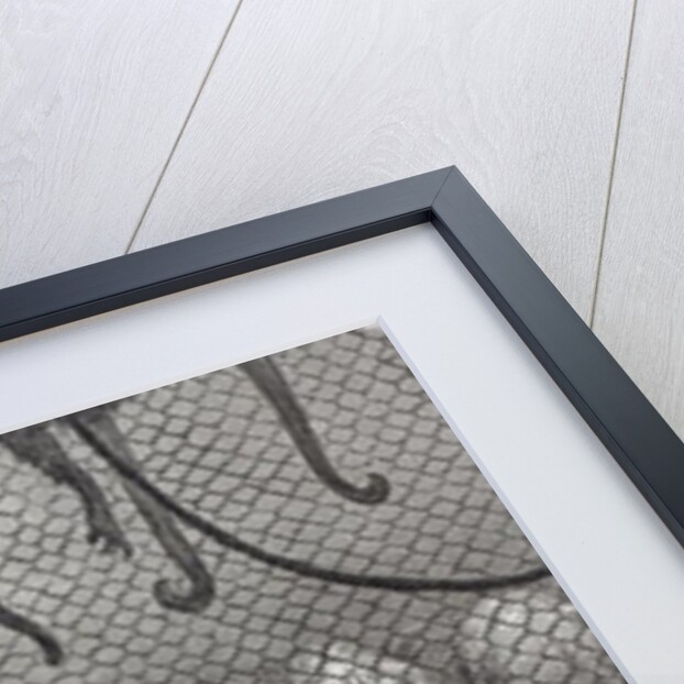 London Monkeys by Gustave Dore