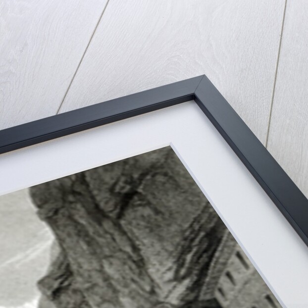 Mont Blanc from the Baths of St. Didier by William Brockedon