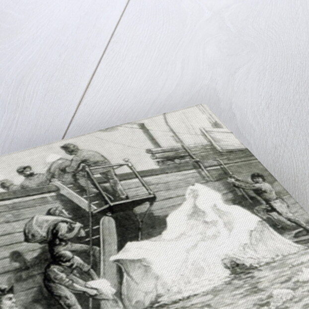 The Arctic Expedition Watering from an Iceberg by English School