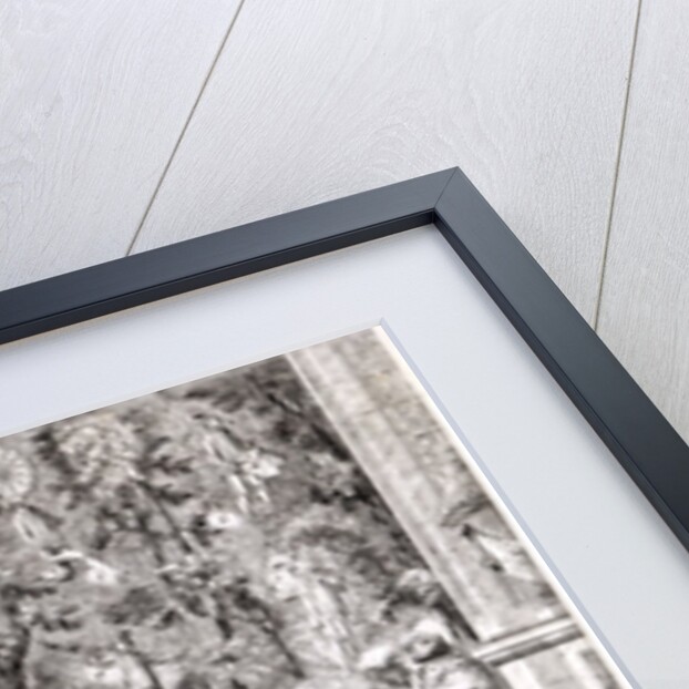 The Performances of the famous Mr. Maddox at Sadler's Wells, July 1752 by English School