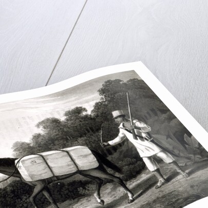 A Cotton Carrier by English School