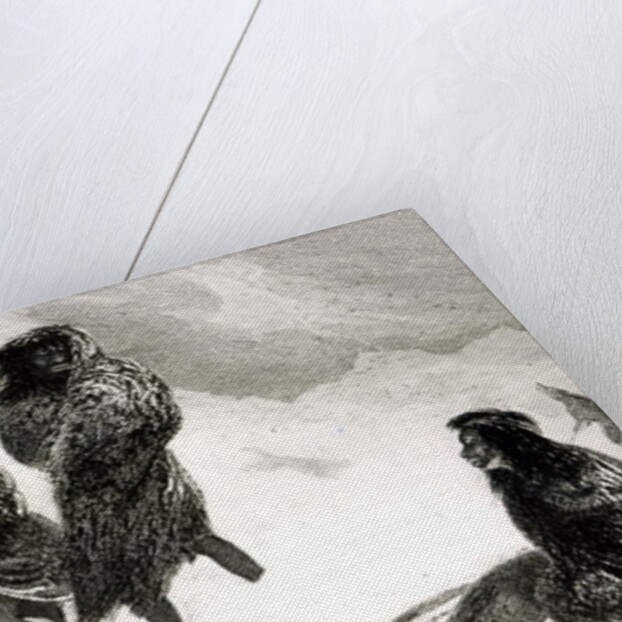 Fuegians going to trade in Zapallos with the Patagonians by Robert Fitzroy