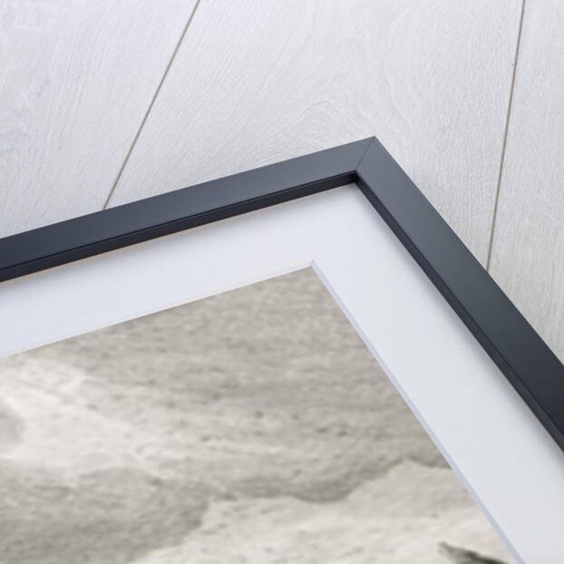 Fuegians going to trade in Zapallos with the Patagonians by Robert Fitzroy