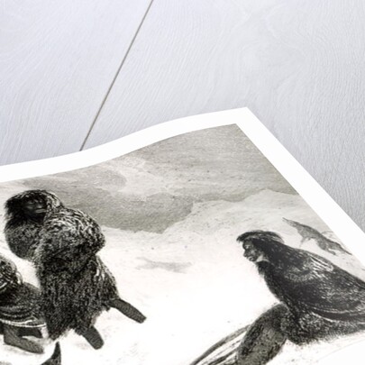 Fuegians going to trade in Zapallos with the Patagonians by Robert Fitzroy