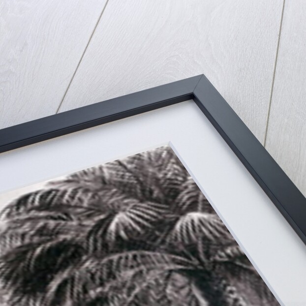 Lord Wolseley's Camp at Korti by English School