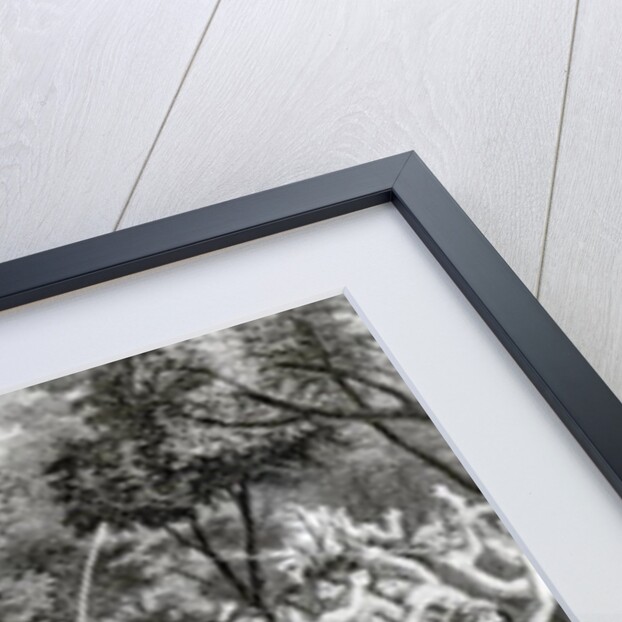 Attack of the Natives of Gambier Islands, engraved by Edward Finden, 1831 by Richard B. (after) Beechey