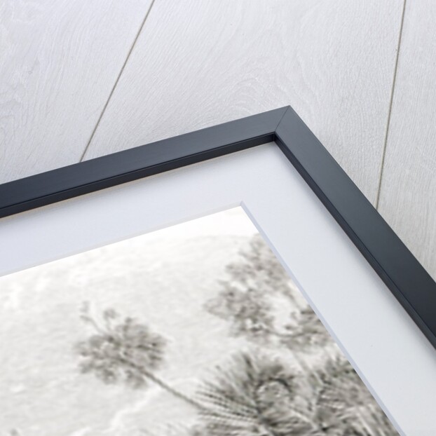 Planting the Flag on the Shores of the Indian Ocean by English School