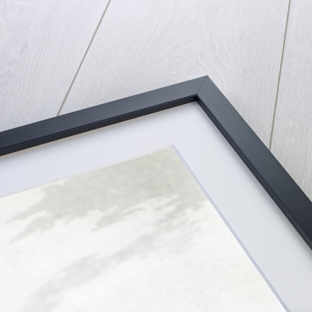 View of the Island of Tappanooly on the South West coast of Sumatra by J. (after) Wells