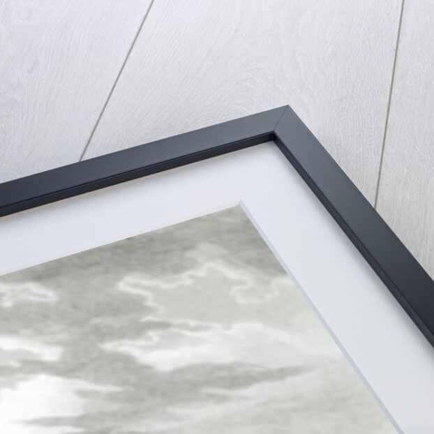 Harbour of Rio Janiero, with the Benedictine Monastery by William Wilson