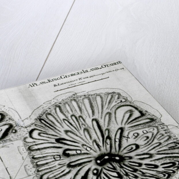 A Plan of King Georges Island or Otheite, 1769 by J. Cook