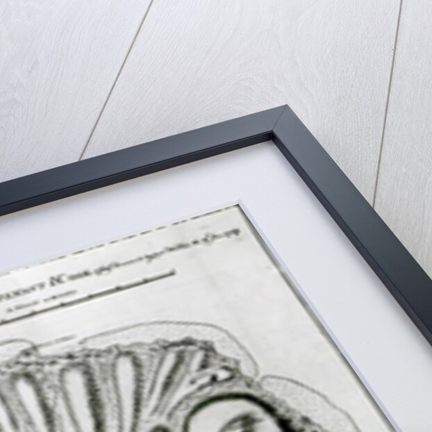 A Plan of King Georges Island or Otheite, 1769 by J. Cook