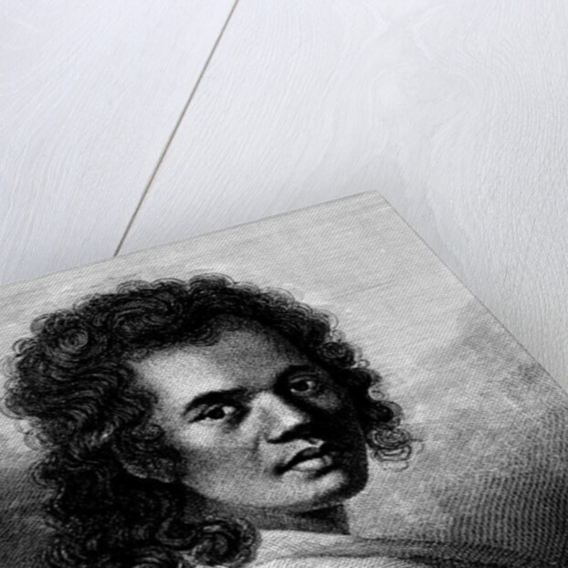 Omai by William Hodges