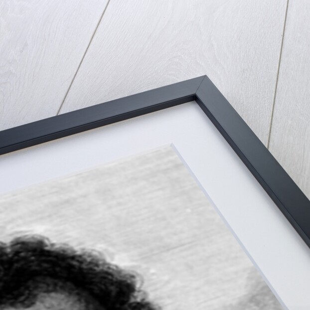 Omai by William Hodges