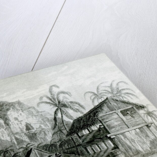 Interior of Pitcairn Island, 1831 by William Beechey