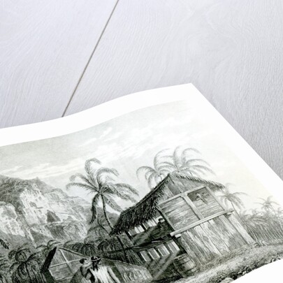 Interior of Pitcairn Island, 1831 by William Beechey