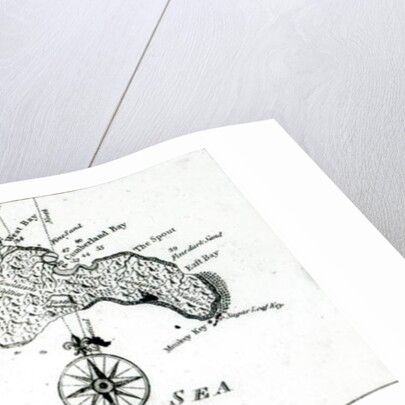 Map of South Pacific Island, 1800 by English School