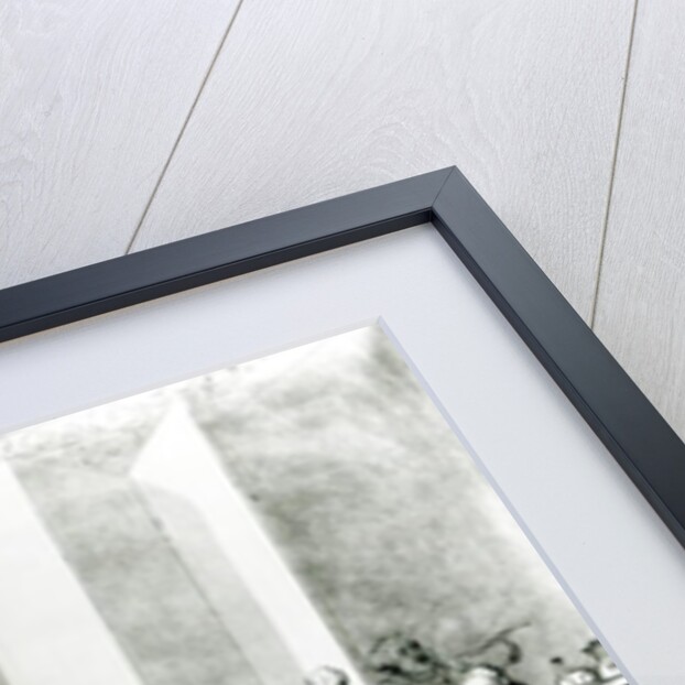 The Brilliants, 1801 by Thomas Rowlandson