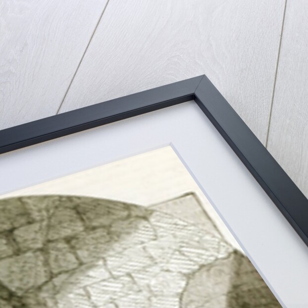 Felton in Prison by School English