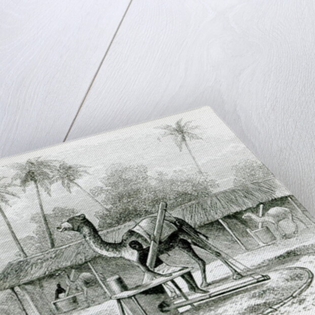 Camel Mill by English School