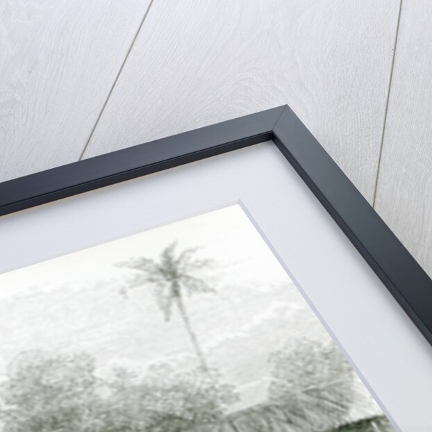 Camel Mill by English School