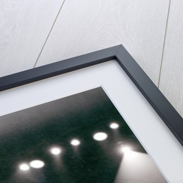 Elephant performing in a Circus by Anonymous