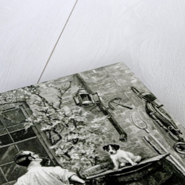 The Survival of the Fittest by Stanley Berkeley