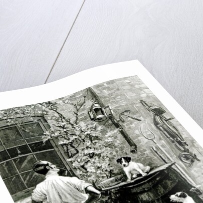 The Survival of the Fittest by Stanley Berkeley