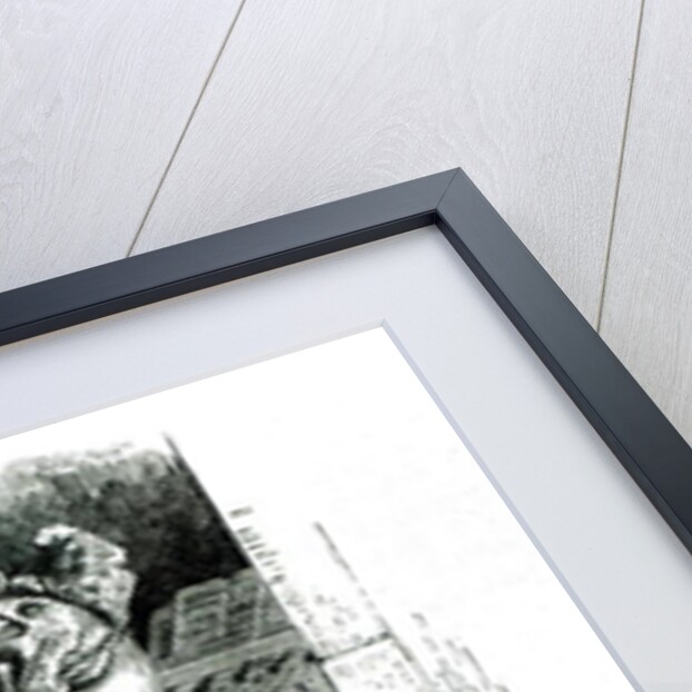 Dog sleeping and cockerel singing, from J. Thomson's 'Public and Private Life of Animals' by English School