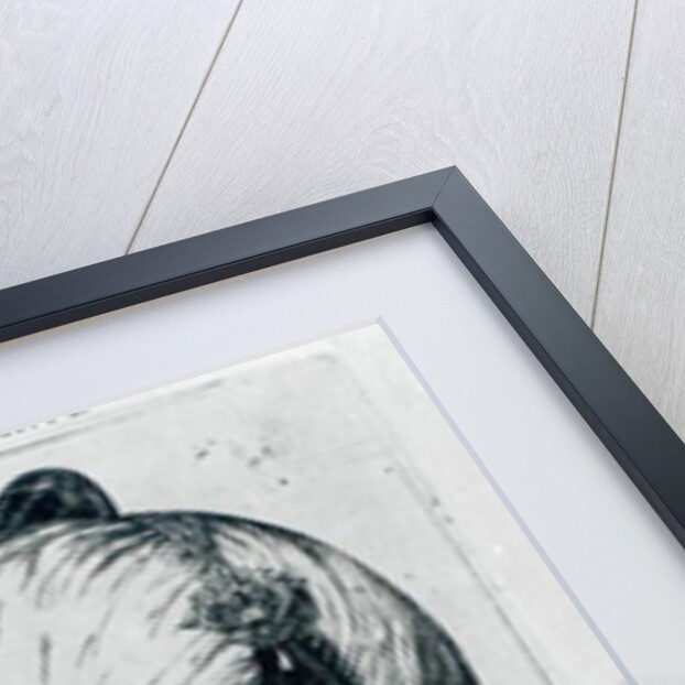 Portrait of Murad III by Turkish School