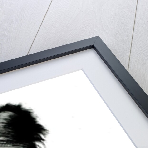 Portrait of Speelman, a Hottentot, 1814 by William John Burchell