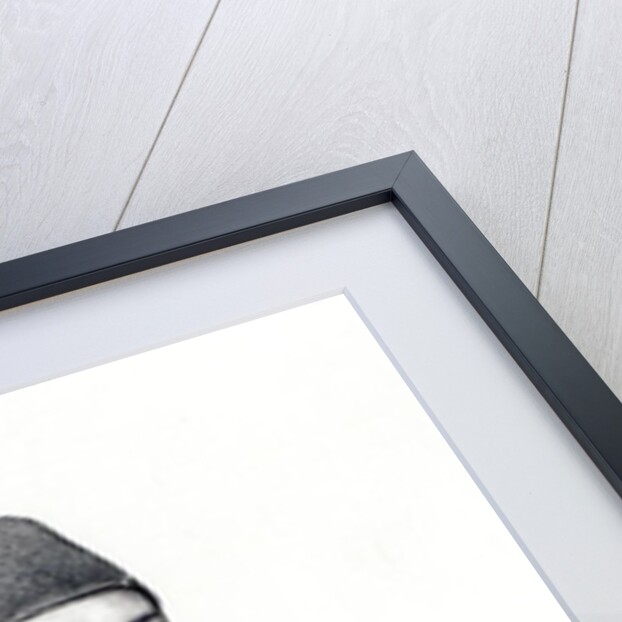 Portrait of The Khedive Tawfig by English School