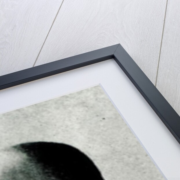 Portrait of John Dube by English Photographer