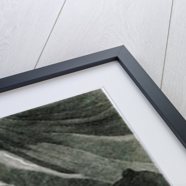 Alameen Ben Mohammed by Edward Francis Finden