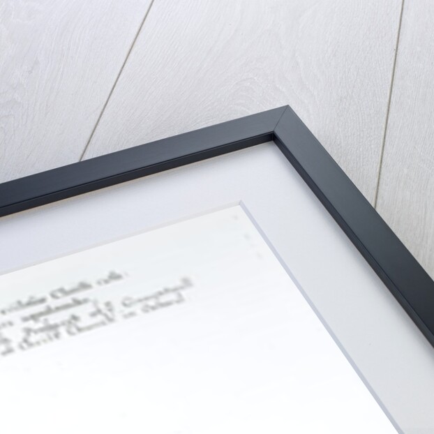 The North Prospect of Conuentuall Church of Christ Church in Oxford by School English