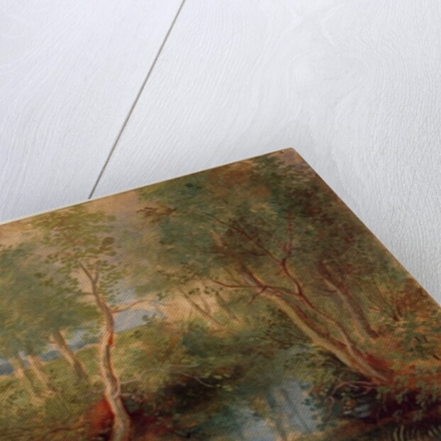 Landscape by Peter Paul Rubens