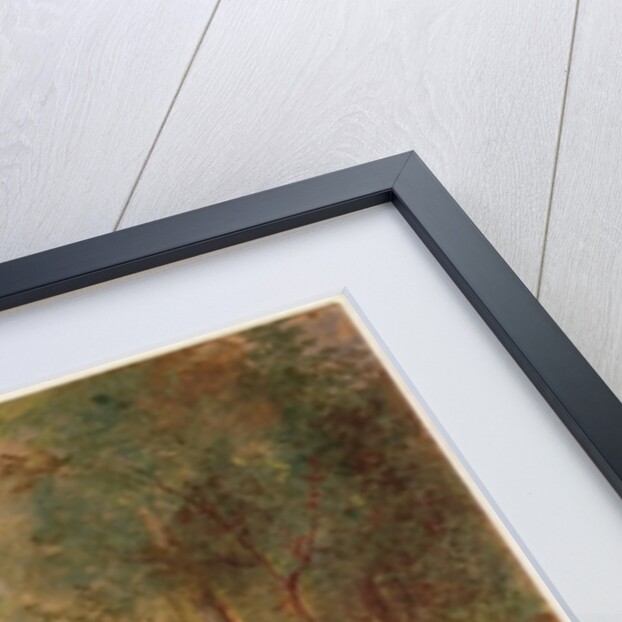 Landscape by Peter Paul Rubens