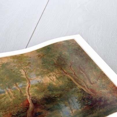 Landscape by Peter Paul Rubens