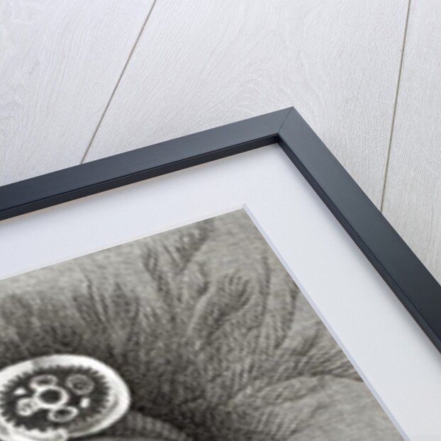 Chief of St.Christina by English School