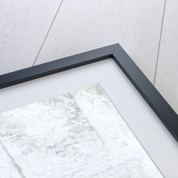 A Jewish Concert, Tlemcen by School English