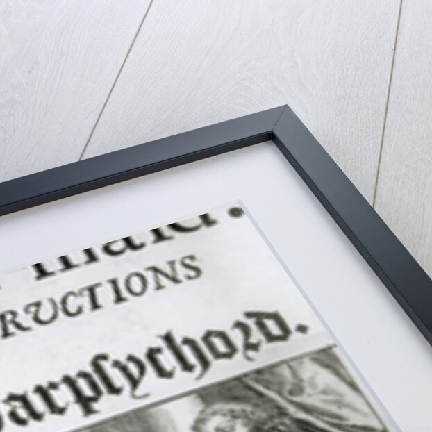 New lessons and instructions for the harpsichord or virginals by English School