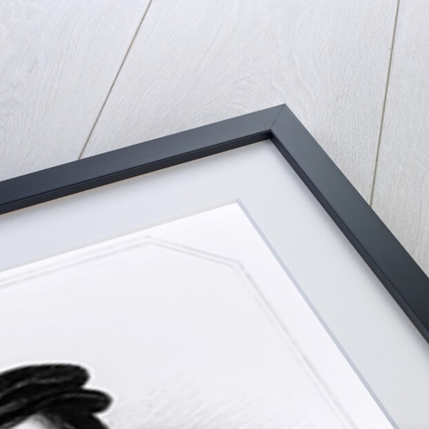 Edward North from 'Lodge's British Portraits', 1823 by English School