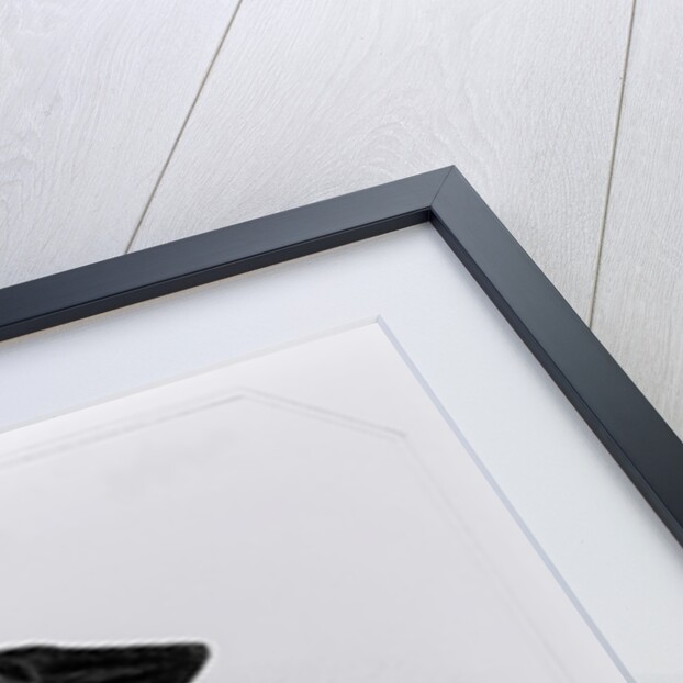 Portrait of Matthew Parker from 'Lodge's British Portraits', 1823 by English School