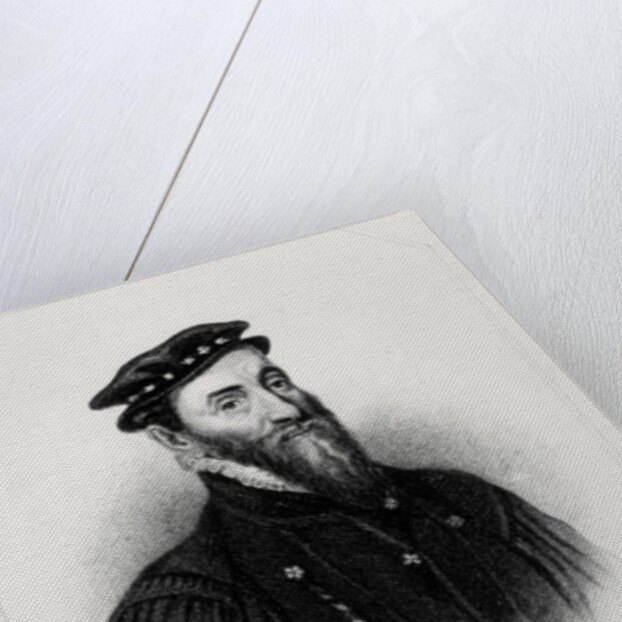 Portrait of Sir Thomas Gresham from 'Lodge's British Portraits', 1823 by English School