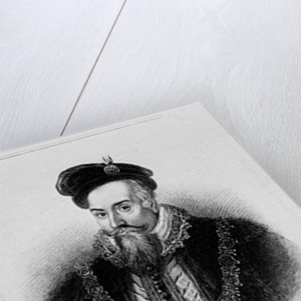 Portrait of Robert Dudley 1st Earl of Leicester by English School