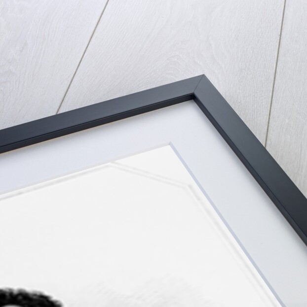 Portrait of Sir Francis Drake from 'Lodge's British Portraits', 1823 by English School