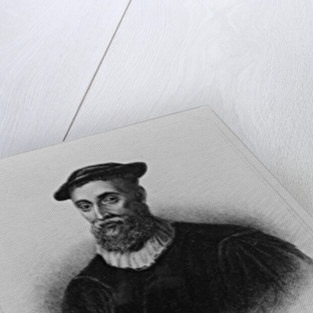 Portrait of John Knox from 'Lodge's British Portraits', 1823 by English School