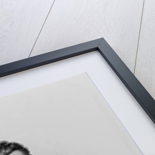 Portrait of Sir Christopher Hatton from 'Lodge's British Portraits', 1823 by English School