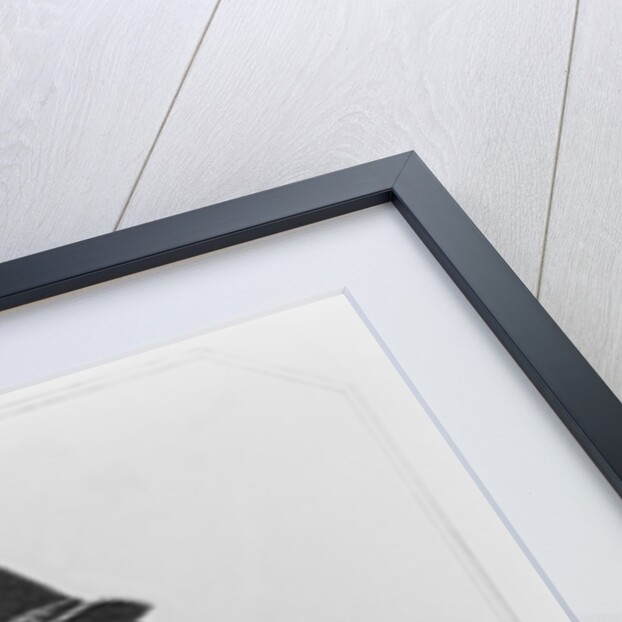 Portrait of Fulke Greville 1st Baron Brooke by English School