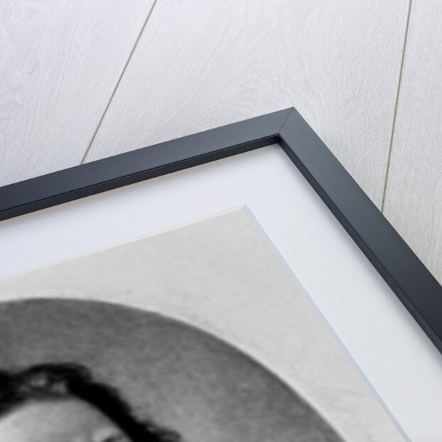 Portrait of The Marquis of Vieu Ville by English School