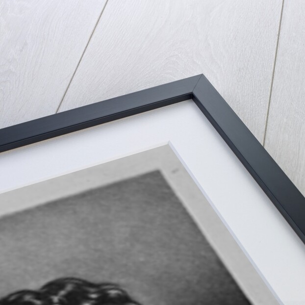 Portrait of George Duke of Northumberland by English School